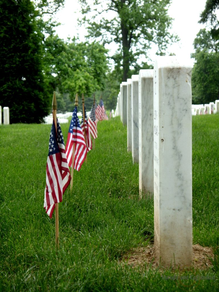 Arlington National Cemetery with Flags, Washington, DC