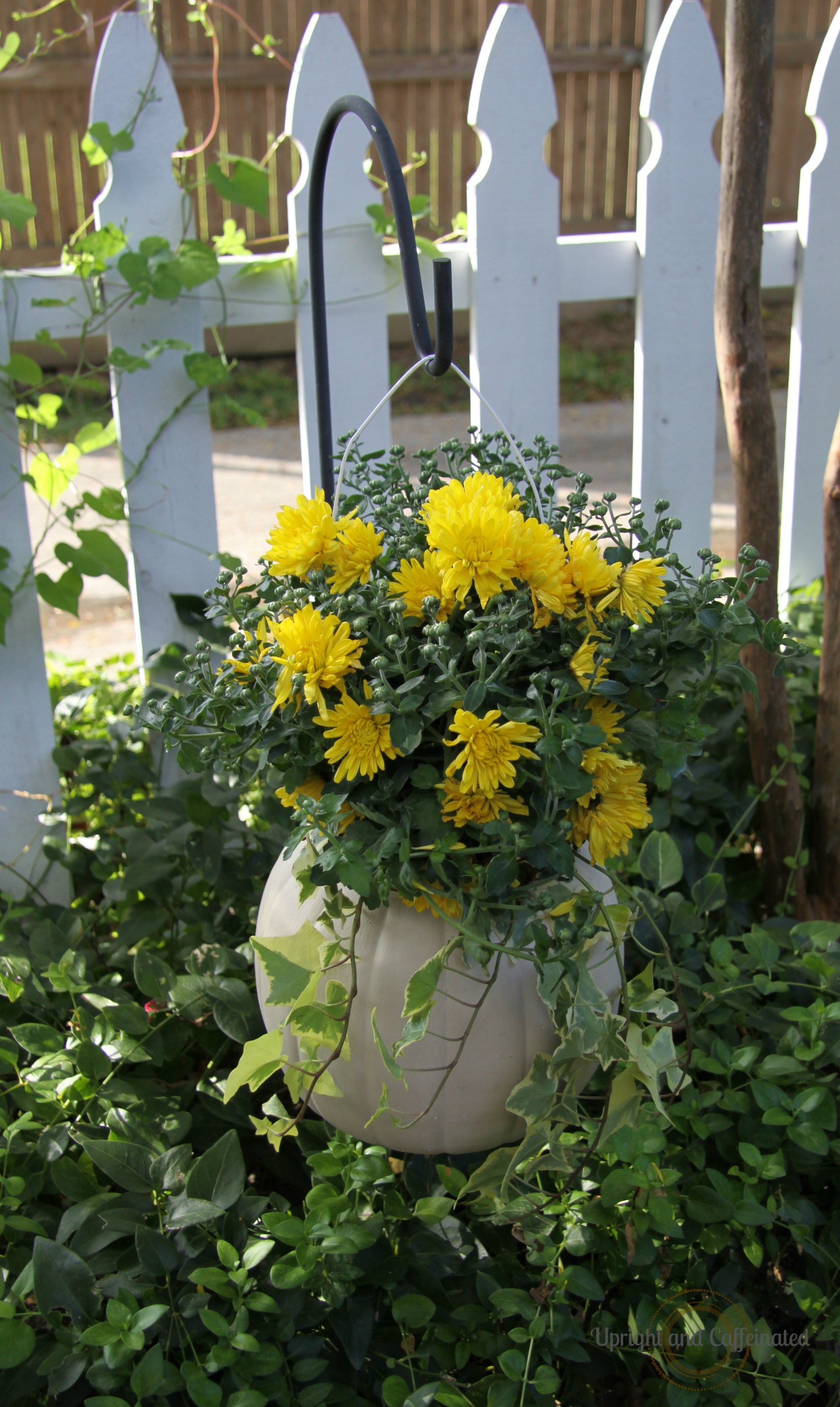 DIY Painted Plastic Pumpkin