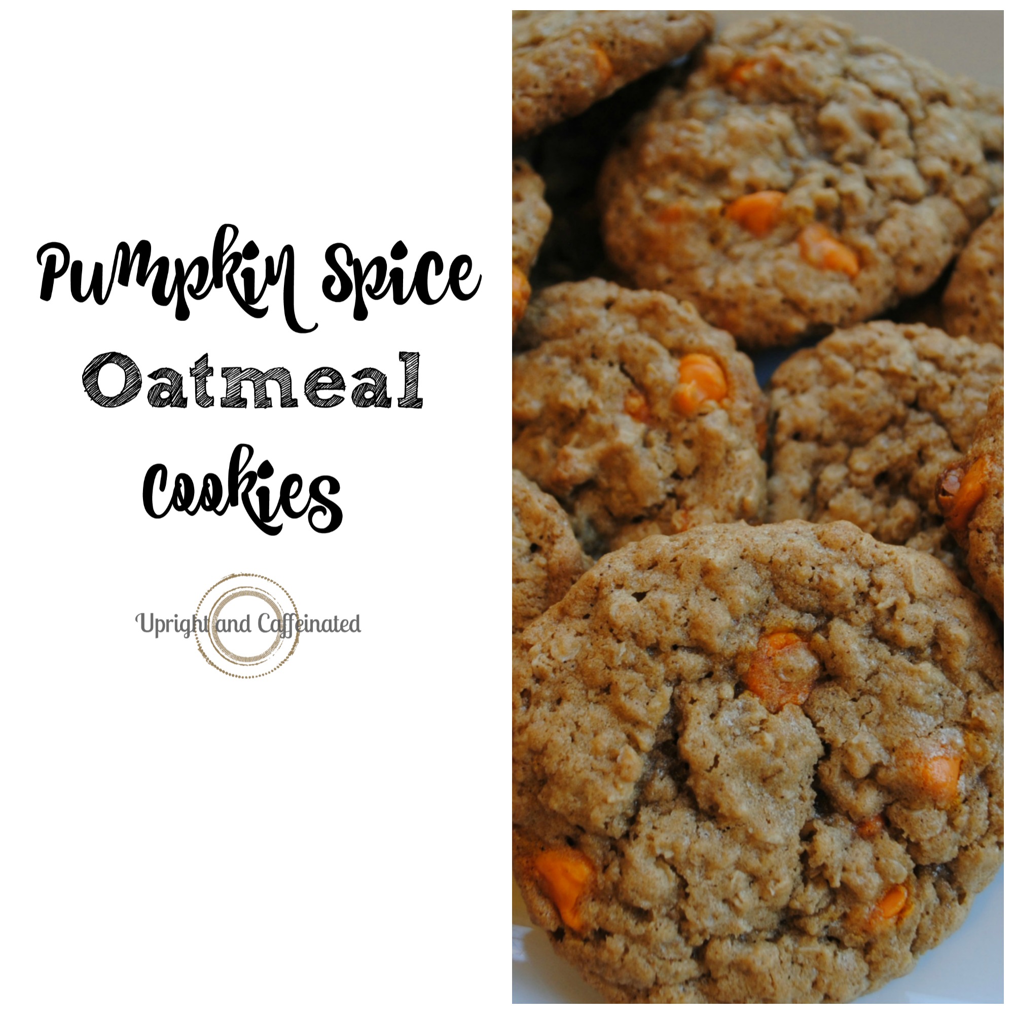 This Pumpkin Spice Oatmeal Cookies recipe is the BEST cookie recipe you will try this Fall!