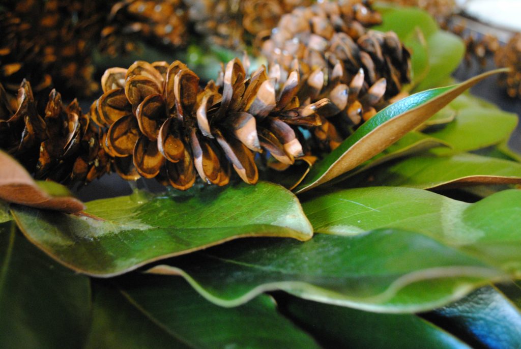 Natural Fall Wreath: Magnolia Leaves and Pine Cones