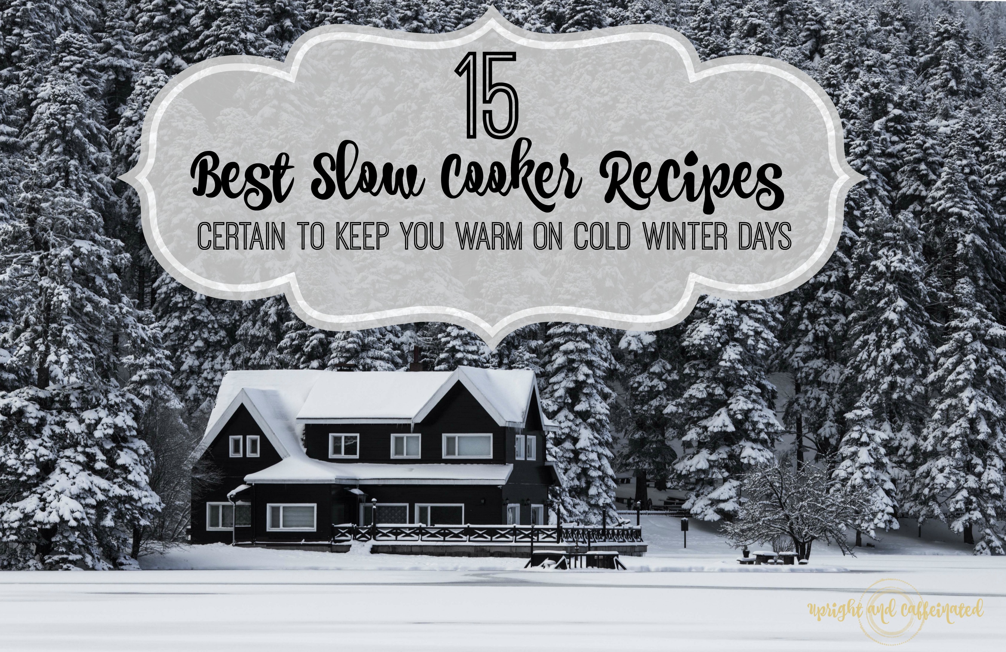 Best Slow Cooker Recipes 