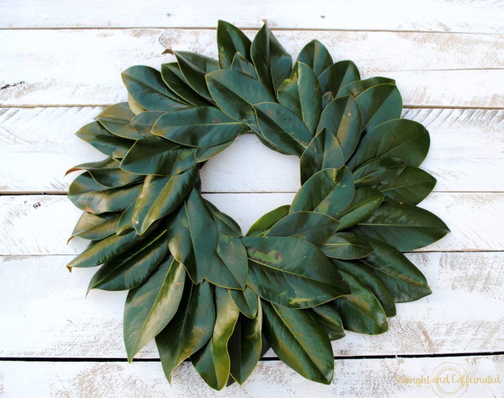 Excellent DIY Magnolia wreath tutorial. Make this wreath for under five dollars using magnolia leaves, hot glue and a Styrofoam ring! Perfect DIY project for a beginner!