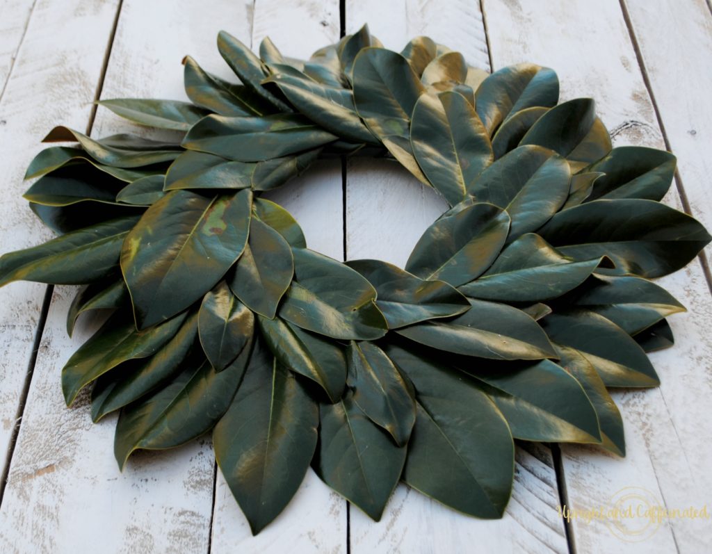 Excellent DIY Magnolia wreath tutorial. Make this wreath for under five dollars using magnolia leaves, hot glue and a Styrofoam ring! Perfect DIY project for a beginner!