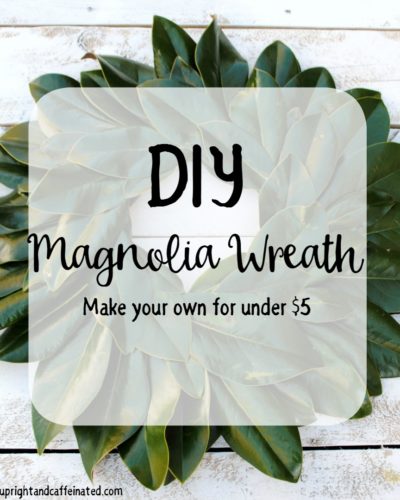 Excellent DIY Magnolia wreath tutorial. Make this wreath for under five dollars using magnolia leaves, hot glue and a Styrofoam ring! Perfect DIY project for a beginner!