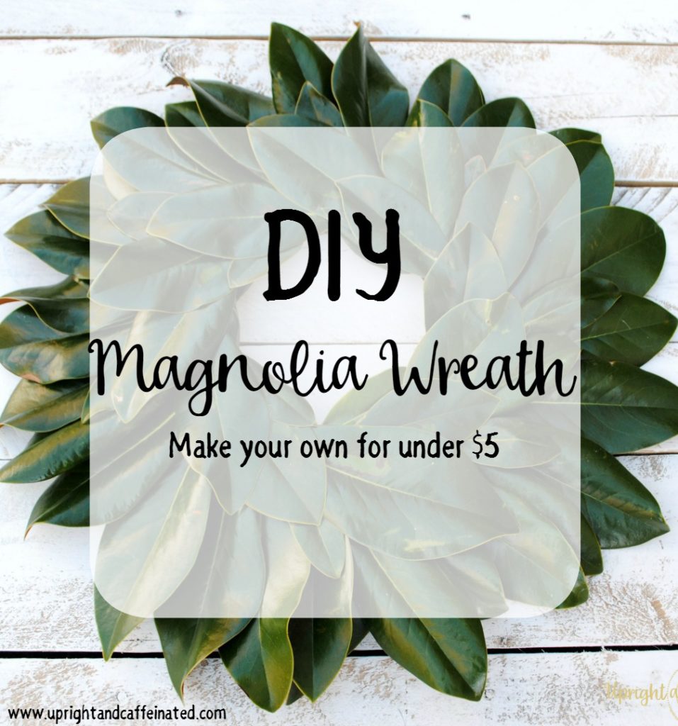 Excellent DIY Magnolia wreath tutorial. Make this wreath for under five dollars using magnolia leaves, hot glue and a Styrofoam ring! Perfect DIY project for a beginner!