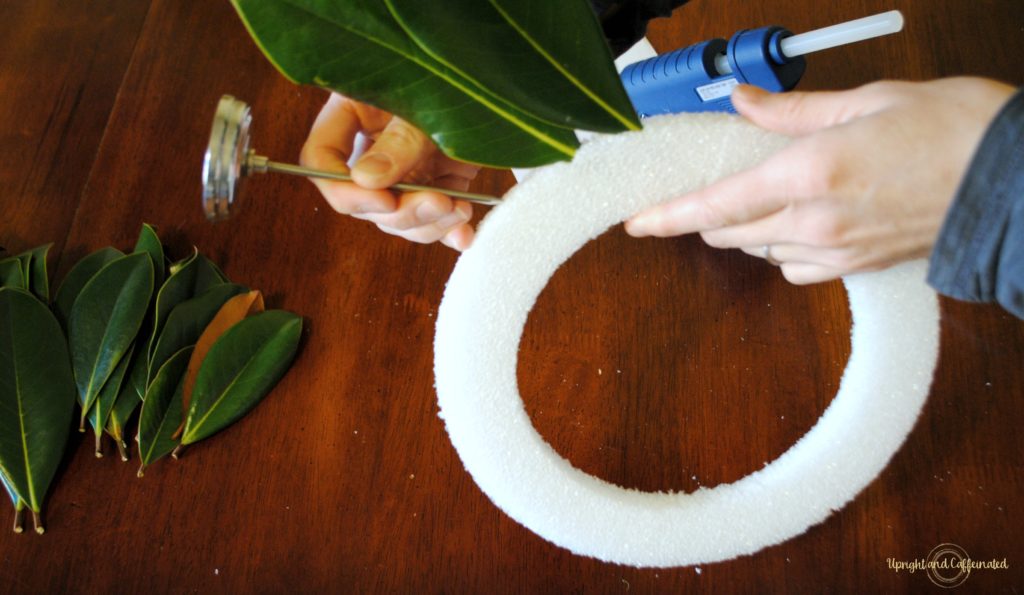 Excellent DIY Magnolia wreath tutorial. Make this wreath for under five dollars using magnolia leaves, hot glue and a Styrofoam ring! Perfect DIY project for a beginner!