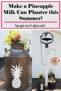 Make a pineapple milk can planter this summer!