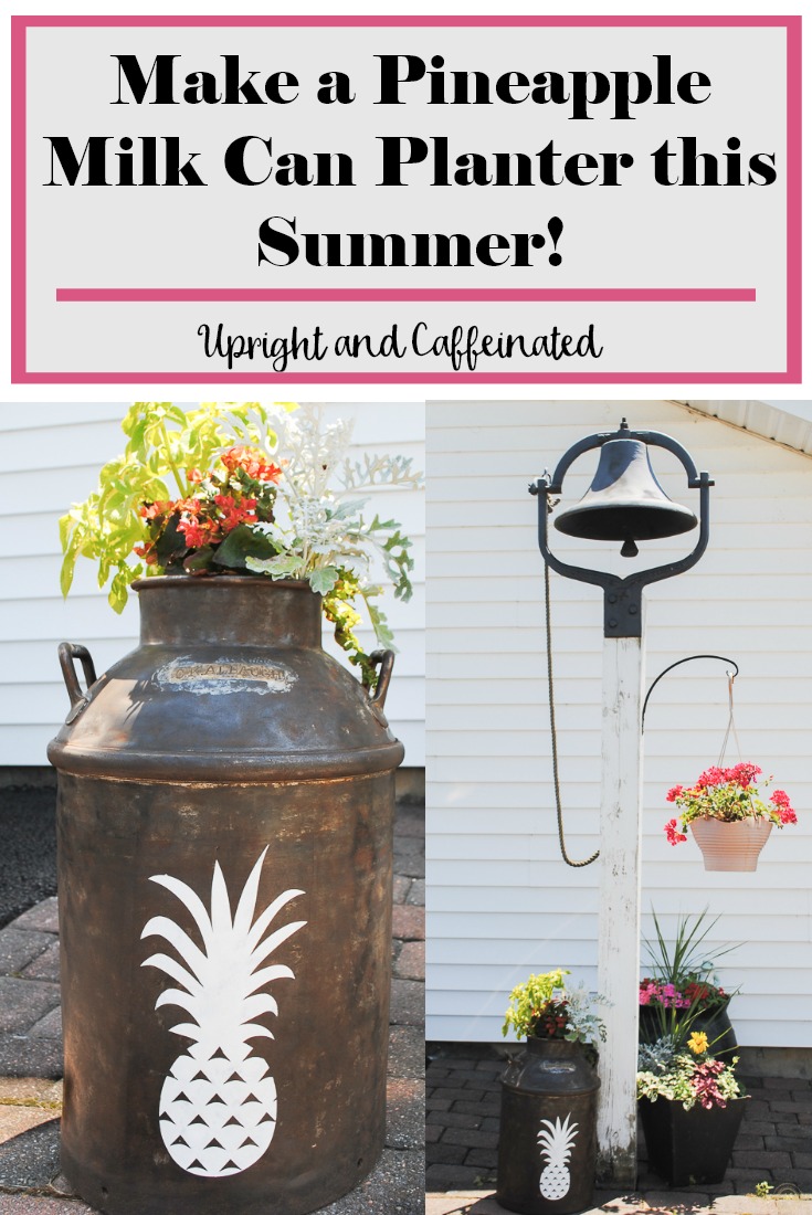 Make a pineapple milk can planter this summer! 