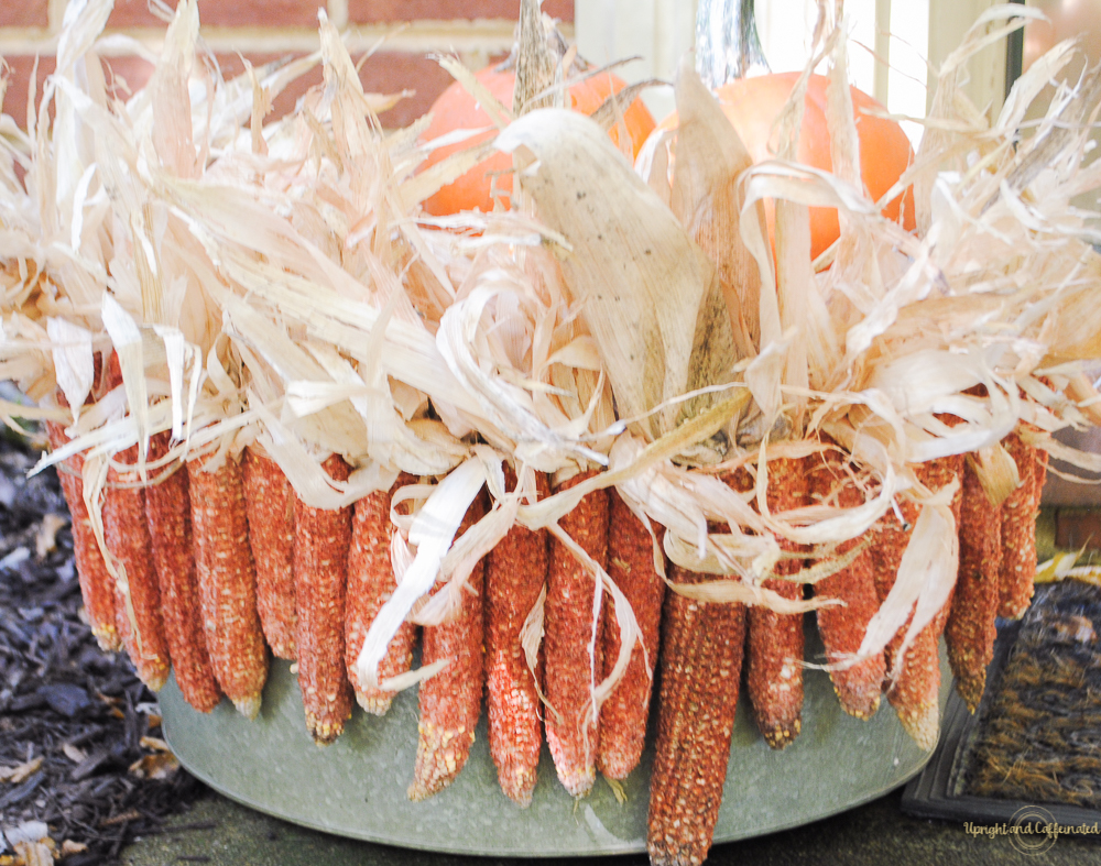 Dried ears of corn is all it takes to make a beautiful natural fall garland.