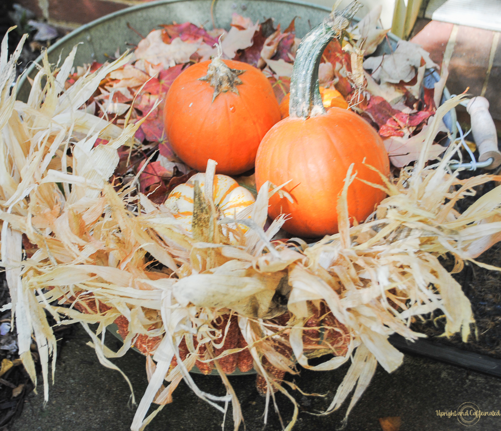 Make this easy fall garland with dried corn cobs. 