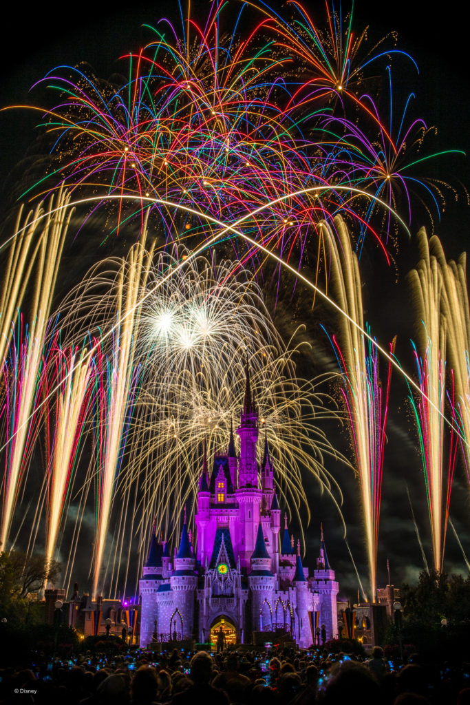 Don't visit Disney without reading these Disney World Tips from the experts.