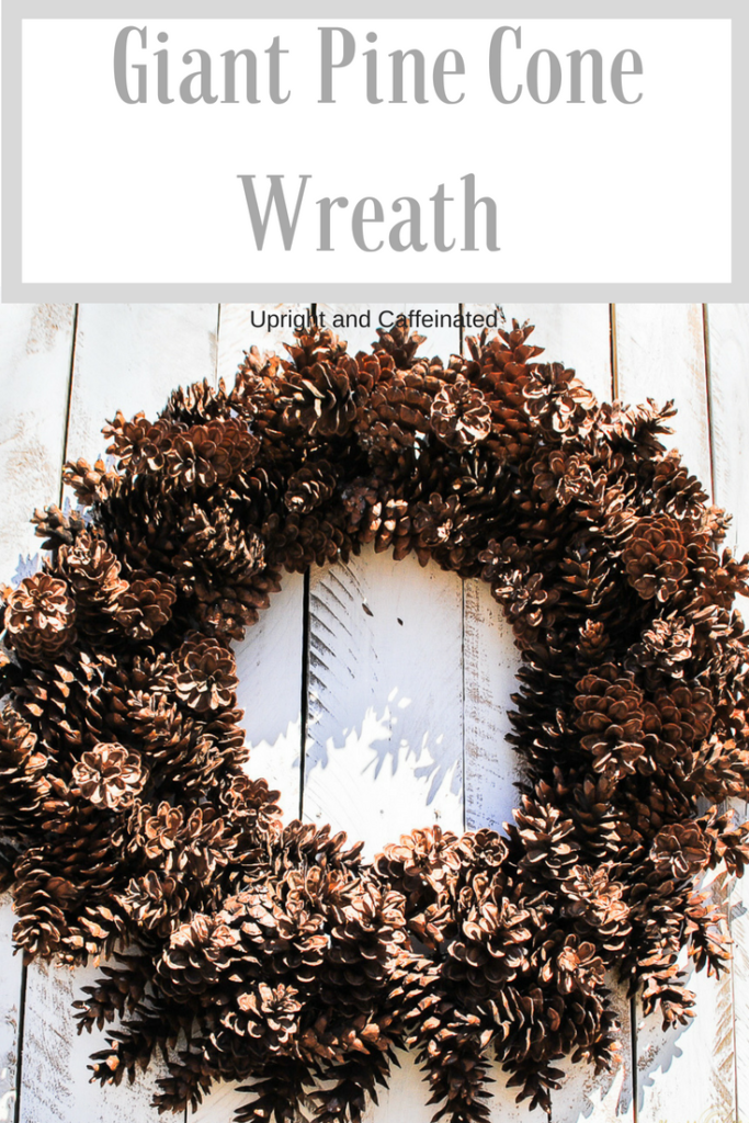 Make this giant Pine Cone Wreath for Fall or Christmas. Click to see the VIDEO! 