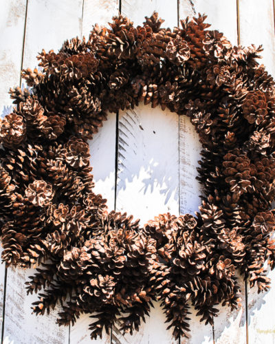 Make this beautiful natural Christmas Wreath.