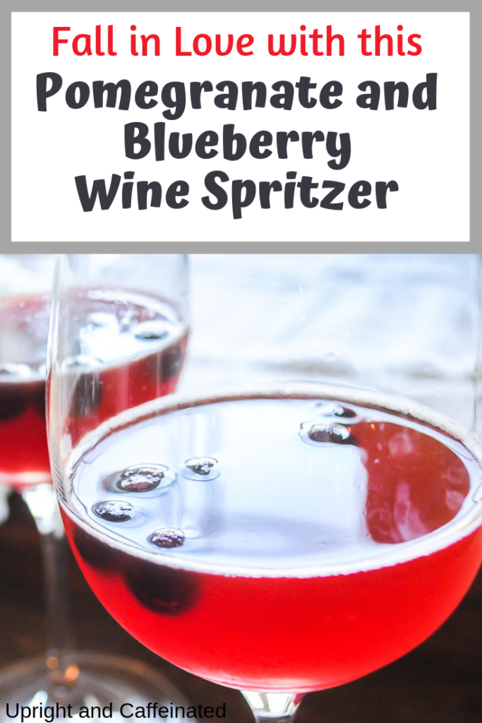 This is the perfect wine spritzer recipe for a fall cocktail! Not too sweet, not too strong. Perfect for a cool fall day!