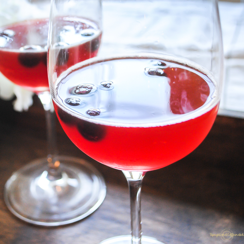 Have a friend over and make this pomegranate and blueberry wine spritzer recipe! 