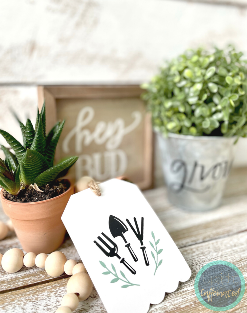 DIY Gifts for Plant Lovers - Upright and Caffeinated